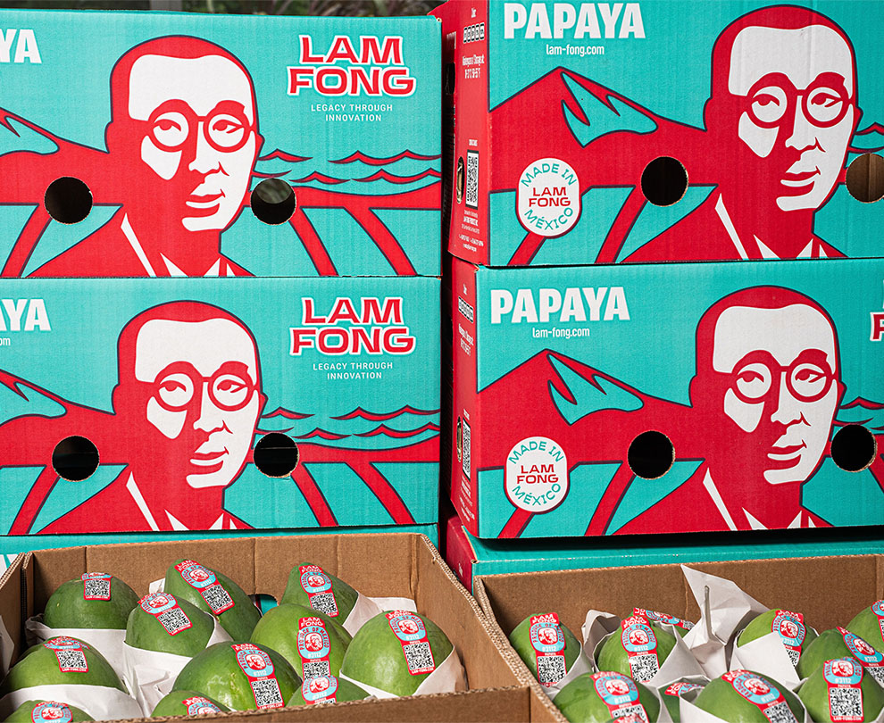 lam-fong-fotos-04